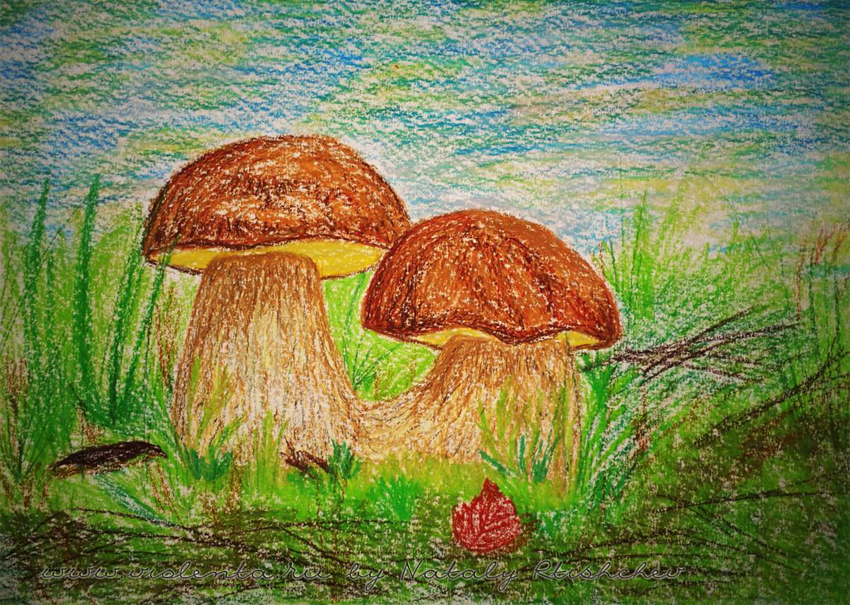 How to draw a mushroom step by step with a pencil (64 photos ...