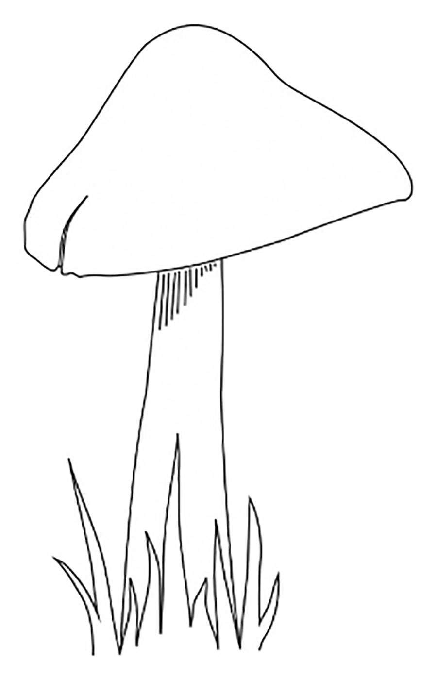 How to draw a mushroom step by step with a pencil (64 photos ...